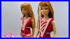 All_About_The_Vintage_Japanese_Skipper_Barbie_01_gkj