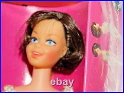 Barbie VINTAGE Brunette TWIST & TURN CASEY Doll withBox