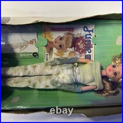 Color palette Jenny Green Japanese Doll made in japan Rough Box Rare