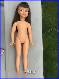 Ideal Tammy Family Patti Doll Montgomery Wards Exclusive VHTF