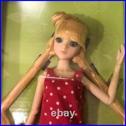 J-doll Robson st. Doll Jun planning Groove Fashion Collectable Vintage Japan New