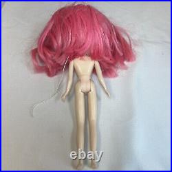 Neo Blythe Vintage Doll collection Snowflake Sonata Tomy Takara Pink Hair