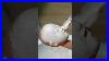 Part_1_The_Process_Of_Making_Japanese_Traditional_Dolls_Short_Shorts_Japan_Process_Crafts_01_yu