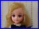 Rare_Takara_Barbie_s_Friend_First_generation_Ellie_Fashion_Doll_Vintage_1984_01_glcj