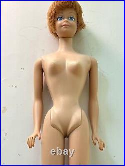 VTG 1960's Ponytail Brunette Barbie Doll #6/#7, Plus 60's Bubblecut & Midge