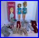 VTG_Tammy_1960s_Blonde_Brunette_Doll_s_Ideal_Toy_Corp_Original_Box_Mixed_Lot_01_zw