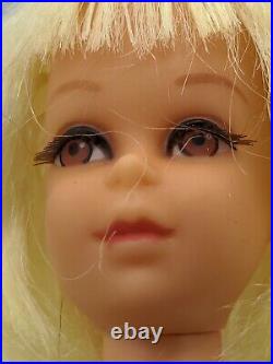 Vintage 1960s Mattel Hair Happenins Francie WithDress, Shoes, Hair Pieces