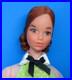 Vintage_Barbie_KELLEY_Doll_QUICK_CURL_TNT_4221_with_Green_Dress_Shoes_01_gs