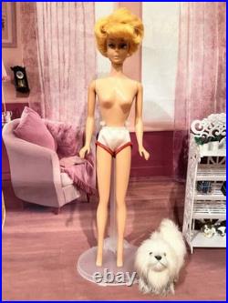 Vintage Blonde Bubblecut Circa 1963 With Fancy Free Dress (1963-64)