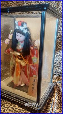 Vintage Japanese Geisha Doll 9 Tall in Glass Case Vintage Japanese Geisha Doll 9 Tall in Glass Case