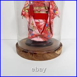 Vintage Japanese Ichimatsu Ningyo Doll 16 Kimono with Glass Display Dome Case