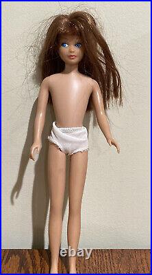 Vintage Mattel Barbie's Little Sis, SKIPPER Carrying Case, Clothes, accessories