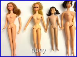 Vintage Nude Barbies and Barbie family members Lot from the 1960s and 1970s