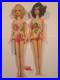 Vtg_1970_TNT_Barbie_Francie_Dolls_With_Original_Swimsuit_Sold_Separately_01_qjo