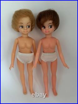 Vtg japan doll clone of the princess knight dolls Vtg japan doll clone of the princess knight dolls